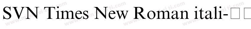 SVN Times New Roman itali字体转换